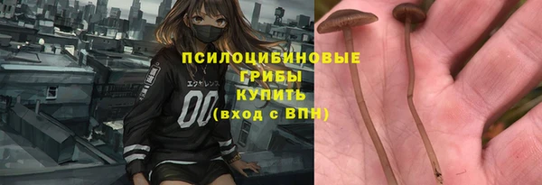 ECSTASY Белоозёрский