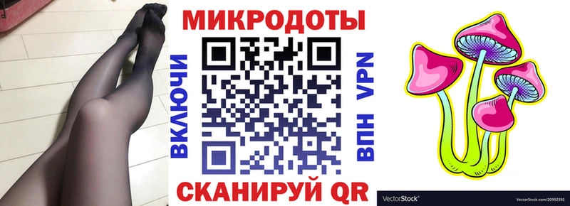 Псилоцибиновые грибы Psilocybine cubensis  даркнет сайт  Нестеров 